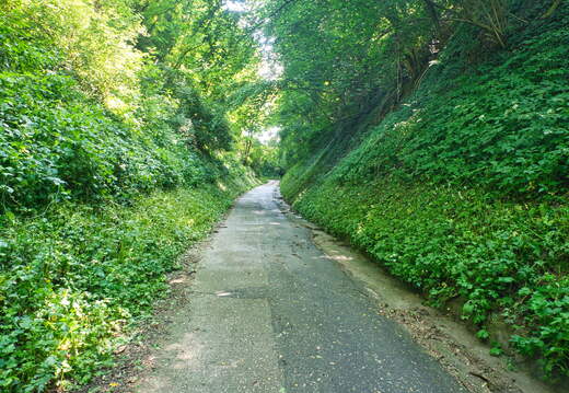 Zeutern Hohlwege